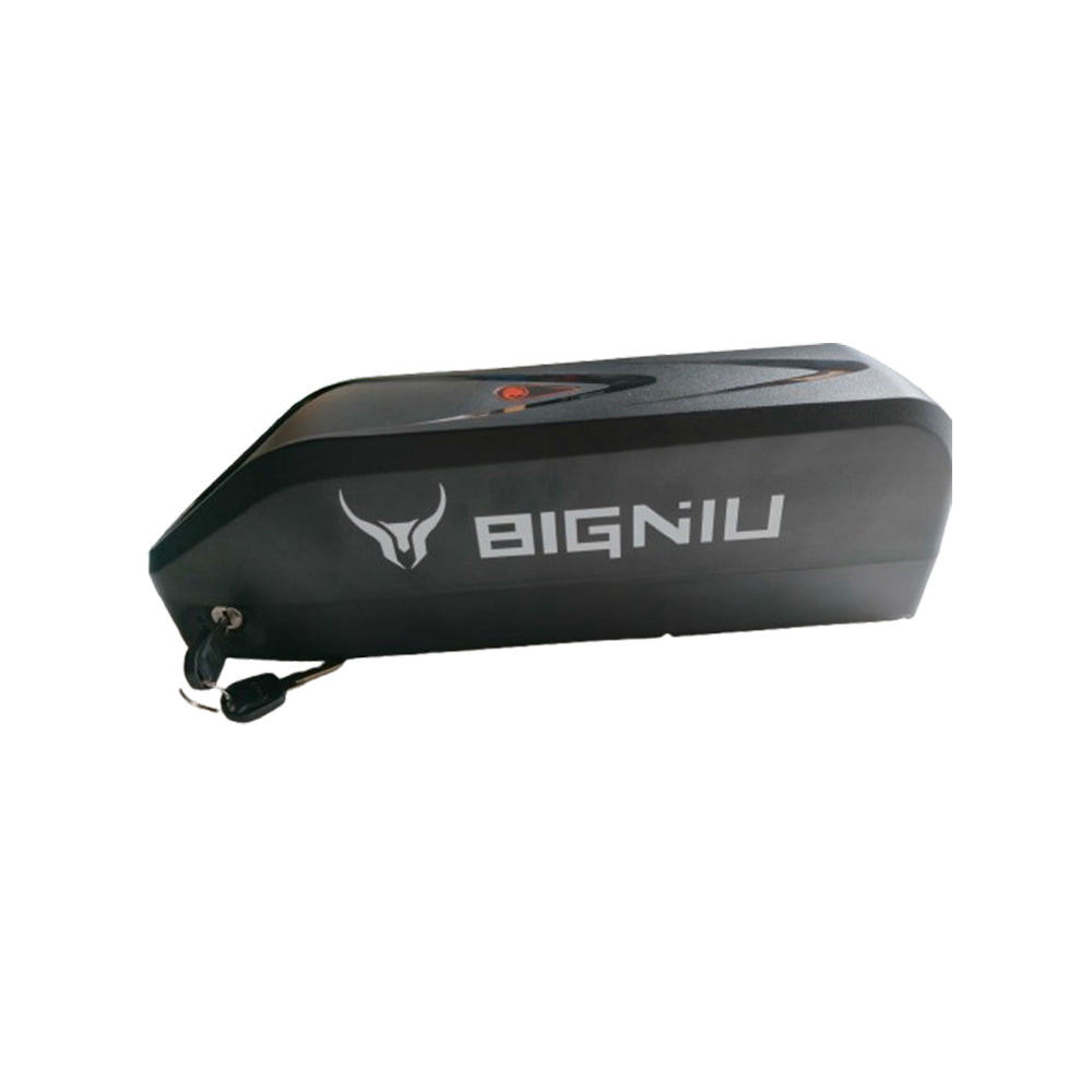 BIGNIU BGS Ebike Batteries