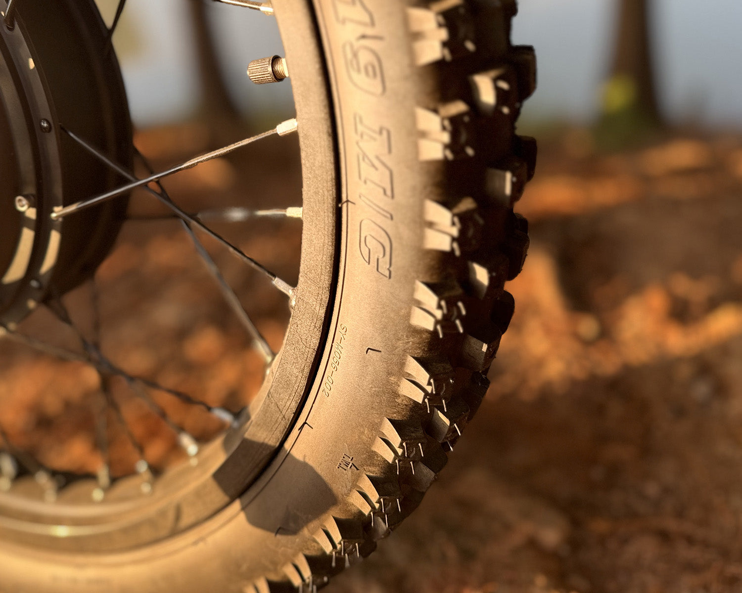 BIGNIU BG-S Pro Electric Bike