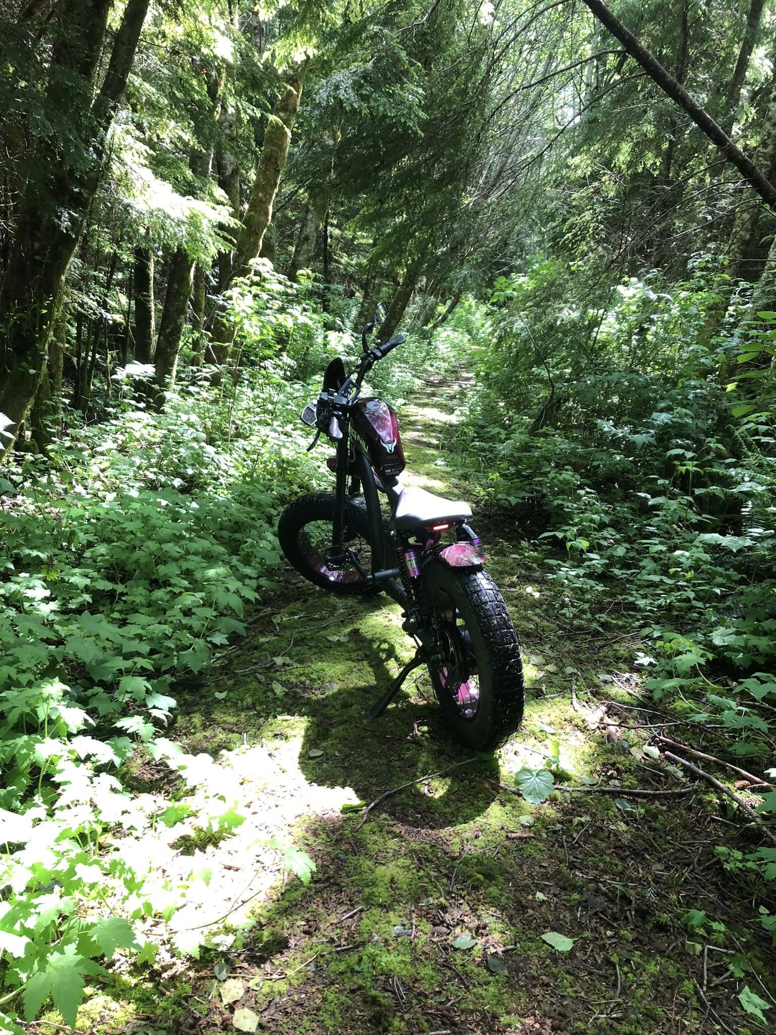 BIGNIU | Get together for a ride this weekend!