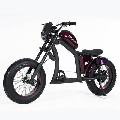 [ Officially Certified ] BG-X Purple Electric Bike