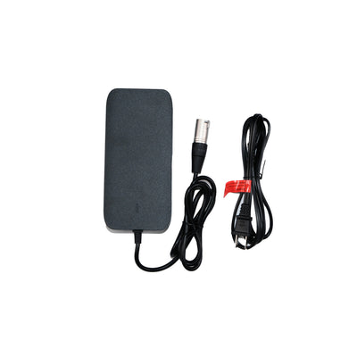 BGS Pro Charger