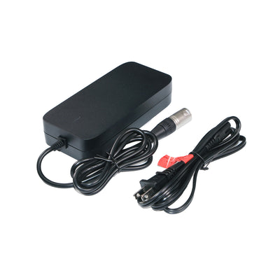 BGS Pro Charger