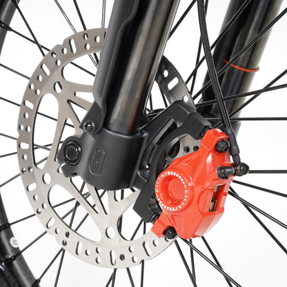 BIGNIU BG-Master Off-road Electric Bike