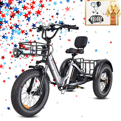 Smartravel Hauler ST301 Dual Battery Cargo Electric Tricycle