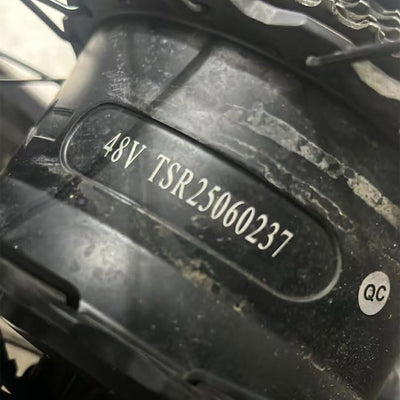 BIGNIU BGS Motor