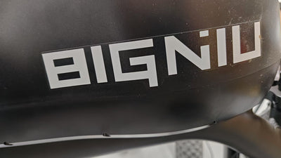 BIGNIU  Sticker