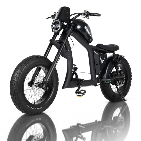 BIGNIU BGX Electric Bike