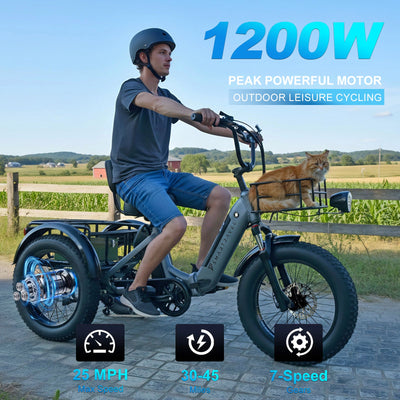 Smartravel Hauler ST301 Dual Battery Cargo Electric Tricycle