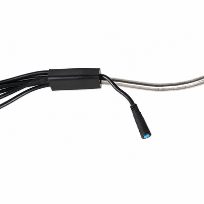 BG-Master Wiring Harness