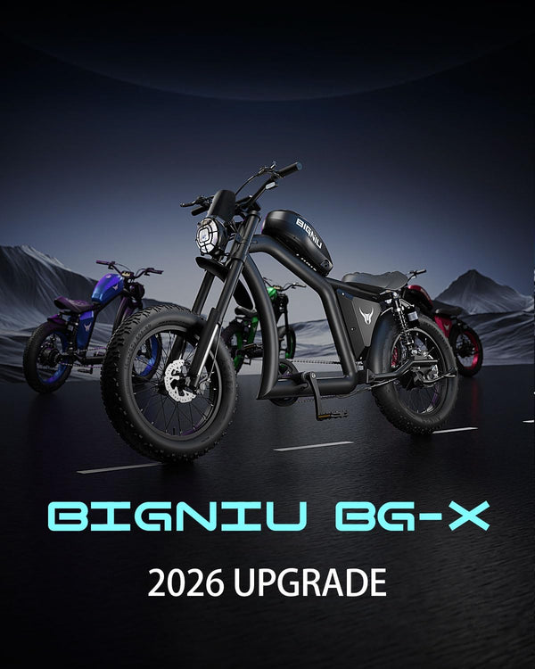 BIGNIU BG-X Electric Bike