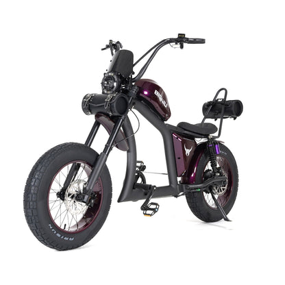 e-chopper electric bicycle Tracer Raptor 800W Stretch Cruiser Chopper Ebike White Dual Springer Fork BIGNIU BG-X Pro Chopper Electric