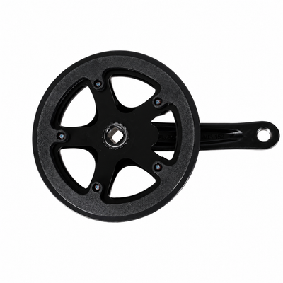 BG-Master Crank & Chainring