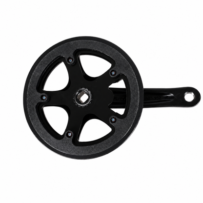 BG-Master Crank & Chainring