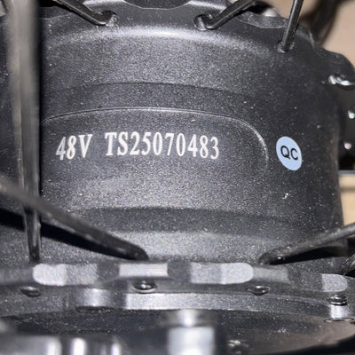 BIGNIU BGS Motor
