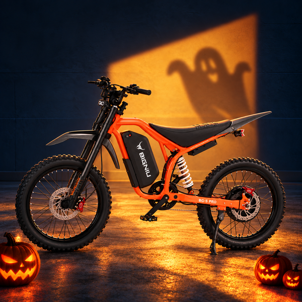 BIGNIU BG-S Pro Electric Bike