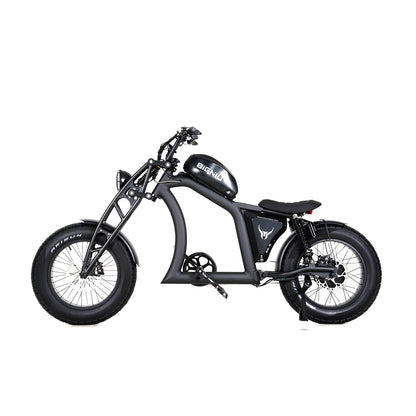 BGX Series multi-link shock absorbers