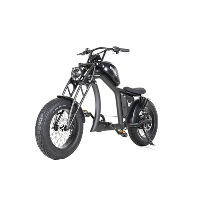 BGX Series multi-link shock absorbers