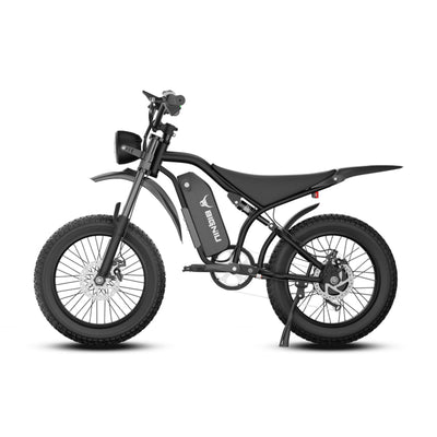 BIGNIU BG-S 1200W Fat Tire Electric Bike