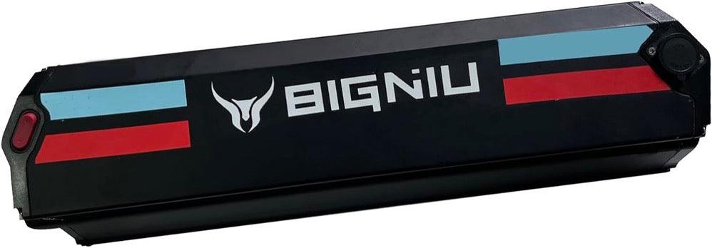 BG10 Backup battery-1