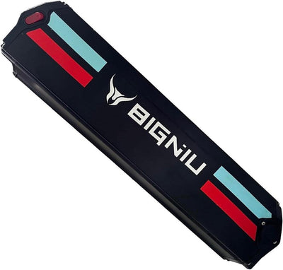 BG10 Backup battery