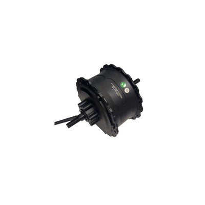 BIGNIU BGS Motor