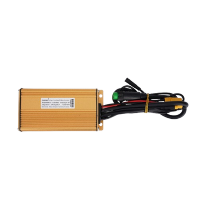 BIGNIU BGX-Pro Ebike Motor Controllers