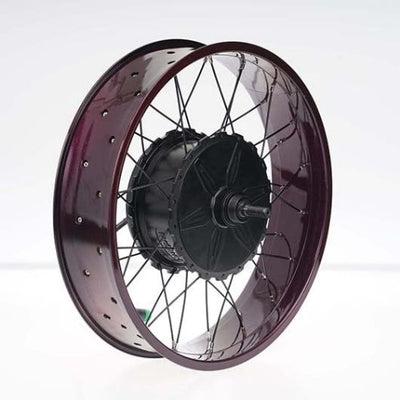 BIGNIU BGX Motor-1