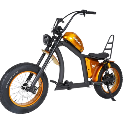 BIGNIU Ebike BGX/BGX PRO Foot Pegs Accessory-2