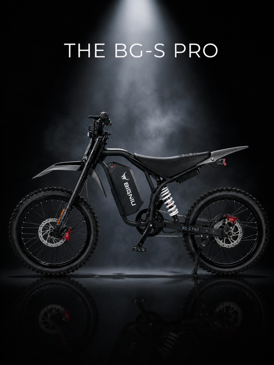 BIGNIU BGS Pro