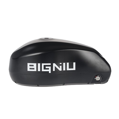 BIGNIU BG-X Series Battery