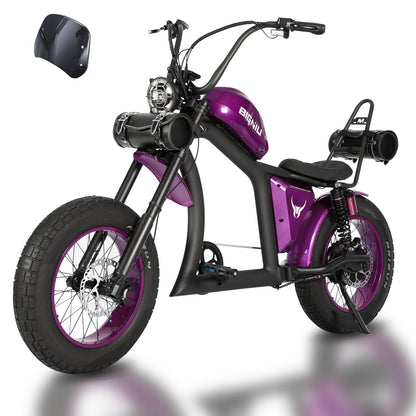 BIGNIU BG-X Pro Electric Bike
