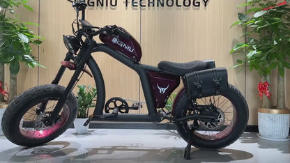 BGX Backpack Rack Kit（Couple）