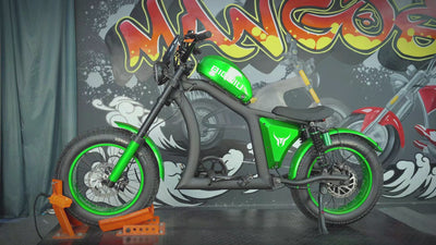 BGX / BGX PRO Extended Mudguard