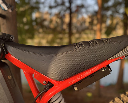 BIGNIU BG-S Pro Electric Bike